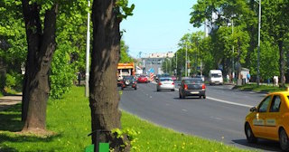Посадка деревьев и кустарников в Стрежевом — стоимость от 1223 руб.